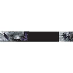 Click here to see larger photo of the Raven Underground Pool Cue by Viper.