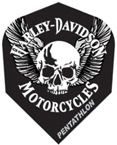 Click here to see larger photo of the Harley-Davidson Skull Wings Standard Dart Flights.