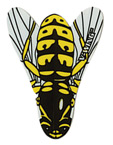 Bumble Bee V-Wing Dart Flights 33110