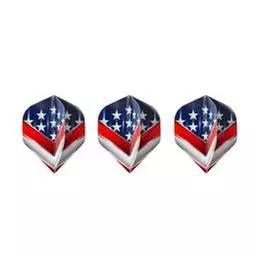 Click here to learn more about the V-75 Support Our Troops Dart Flights Standard.