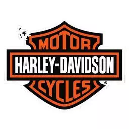 Click here to learn more about the Harley Davidson Bar & Shield Logo Shaped Puzzle.