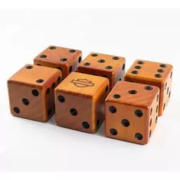 Click here to learn more about the DW Dart World Harley Davidson XL Lawn Dice.