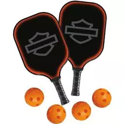 Click here to learn more about the DW Dart World Harley Davidson Stealth Pickleball Set .
