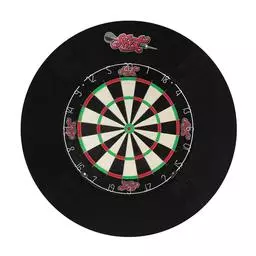 Click here to learn more about the Shot! Darts DARTBOARD SURROUND - 4 PIECE.