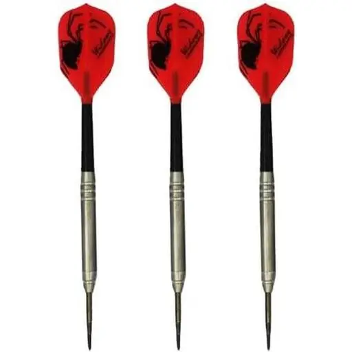 Silver Widow Darts Movable Point - Smooth Steel Tip
